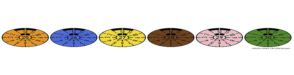 Several coloured inspection stickers with the years 25 to 30 as a symbol for vehicle inspection and registration.