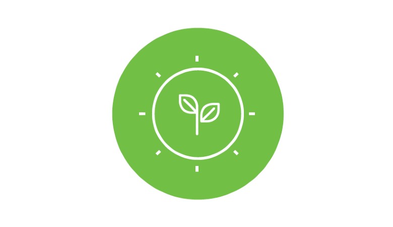 Environment Icon.