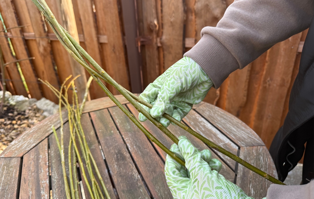 Gloved hands bundling several branches and fastening them with wire.