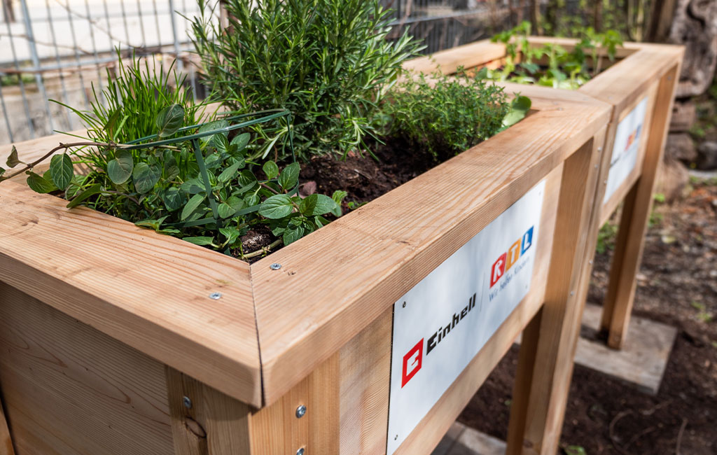 Two wooden raised beds planted with herbs, each with a sign on the front showing the Einhell and RTL logos.