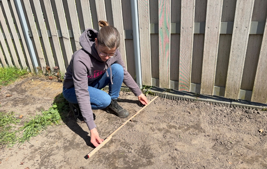 A woman kneels on dark soil in front of a wooden fence, measuring the area with a wooden folding ruler.