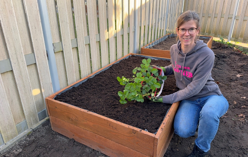 Eine lächelnde Frau kniet neben einem frisch mit Erde befüllten Hochbeet und hält eine Erdbeerpflanze bereit.