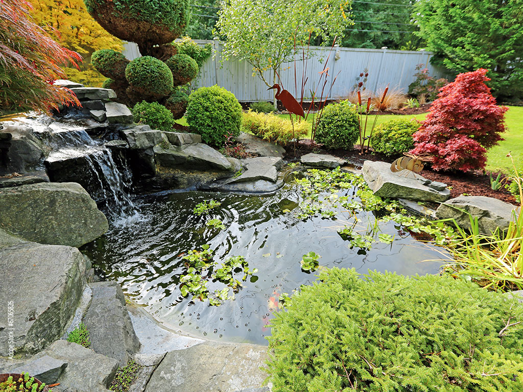 Garden pond with water lilies, stones and plants in bright sunlight.