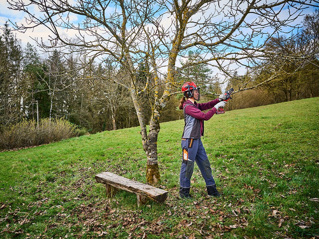 A woman saws a branch off a fruit tree with a cordless chainsaw from Einhell.