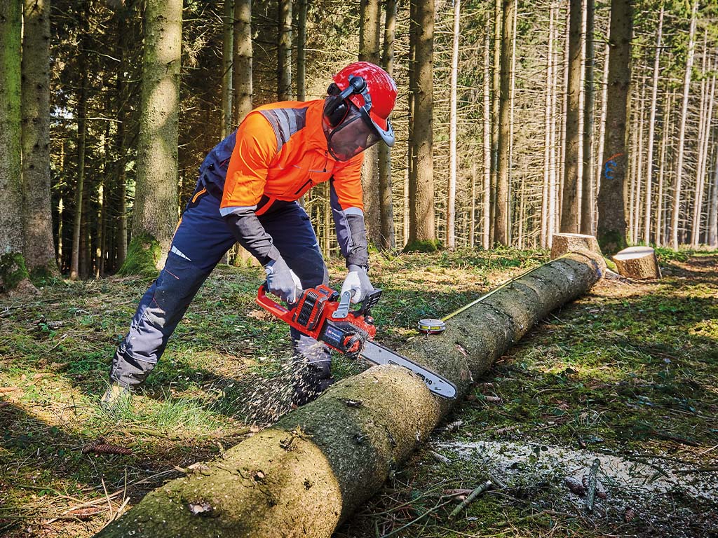 How to properly mantain and clean your chainsaw (instructions) – Einhell  Blog