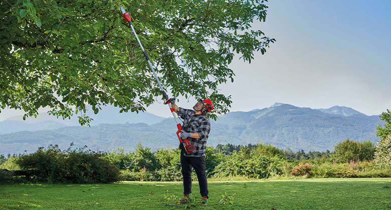 ein Mann schneidet einen Ast an einem Baum mit einem Einhell Akku-Hochentaster
