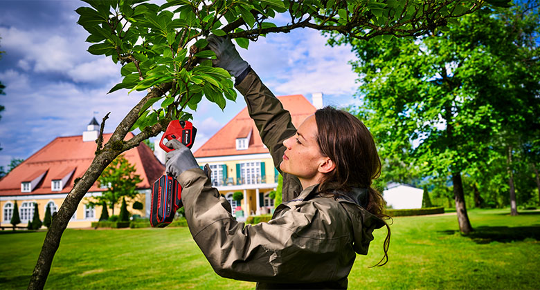 Frau schneidet mit einer roten Akku-Astsäge einen Ast an einem Baum in einem Garten vor einem Haus.